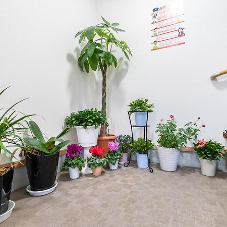 Travel Palace Miyuki Kawaguchi  Extérieur photo